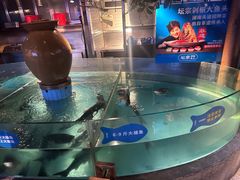 -坛宗剁椒鱼头(河西王府井店)