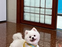 -涌上外婆桥(南塘店)