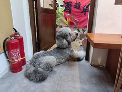-沏点Trattoria意大利餐厅(新街口店)