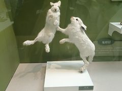 -国家自然博物馆