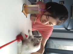 iphone_upload_pic-喵的天空名猫咖啡馆·撸猫·猫舍·用品
