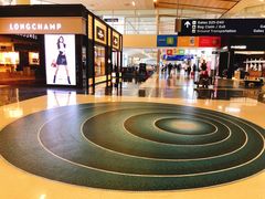 -达拉斯 沃斯堡国际机场