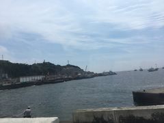 -枸杞岛