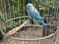 -南宫五洲植物乐园