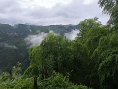 -藏龙百瀑风景区