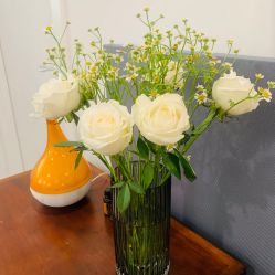 -舒欣头疗  白发脱发专业护理