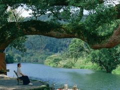 -婺源风景区