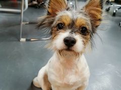 -爱诺耐芙动物医院(万博店)