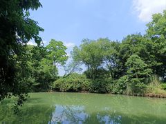 -西溪国家湿地公园