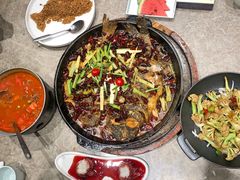 -老板恋上鱼(恒隆广场店)