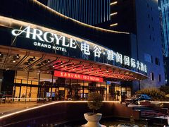 -电谷雅阁国际大酒店