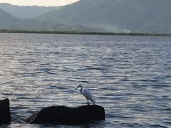 -深圳湾公园(南山区)