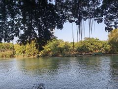 -小洲村