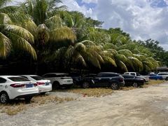 -兴隆槟榔园休闲农庄