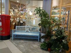 -猫的天空之城概念书店(印象城购物中心店)