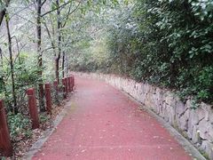 -桃花岭景区