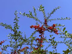 -昆山城市生态森林公园