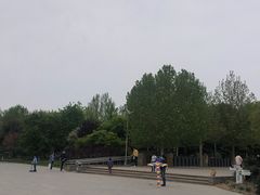 -望湖公园