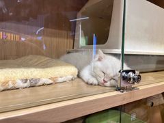 -天河领展广场