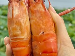 -七的湖·晚芳亭·阳澄湖农家菜·大闸蟹(莲花岛店)