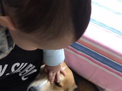 -傲雄叮叮宠物会所(御桥路店)