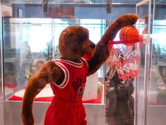 -济州岛泰迪熊博物馆