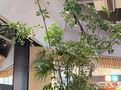 -gaga(深圳福田星河COCO Park店)