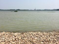 -滨湖塘西河公园