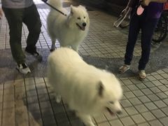 -大雄寿司(中华广场店)