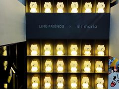 -line friends(明洞旗舰店)