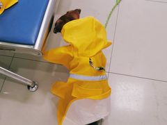 -申普宠物医院·眼科·心内科·影像科(普陀分院)