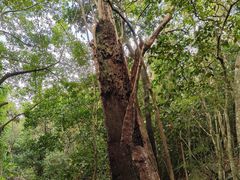 -七仙岭温泉国家森林公园