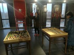 -中国宋庆龄青少年科技文化交流中心