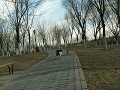 -永定河休闲森林公园