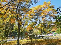 -花溪公园