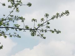 -龙潭水乡