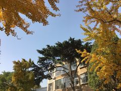 -日本风情街