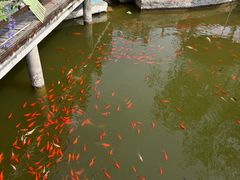 -中国翰园碑林