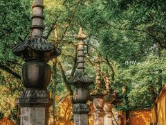 -阿育王寺