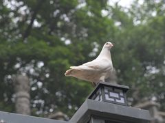 -广州市白云山风景名胜区