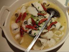 非主流酸菜鱼-Aqua Oasis 水天堂(石路天虹店)