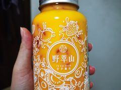 -野萃山·潮汕厚果汁(十亩地店)