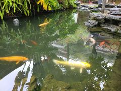 -韩文公祠