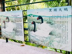 -九龙公园
