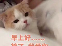 -唐沫茶兮(仓山万达金街店)