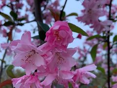 -外高桥保税区南(地铁站)