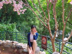 -湖泉半山温泉(湖泉生态园)