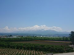 -富田农场