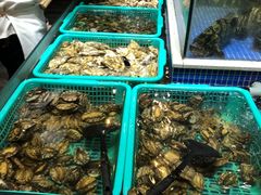 -丰卓会海鲜自助(中润大道店)