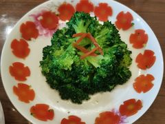 -金贝儿月嫂(高新尚品国际店)